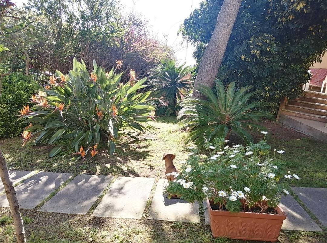 Luis&Susy Home, Cagliari Exterior photo